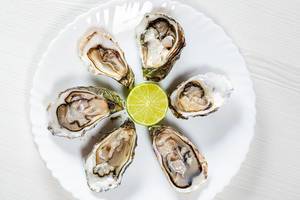 Raw oysters on a white plate with half a lime. Top view