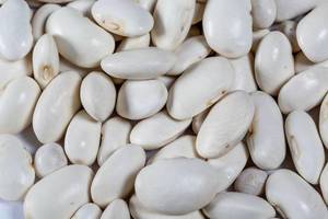 Raw white beans close up
