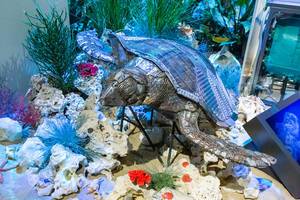 Recycelte Kunst aus Metall und Plastik: Skulptur einer Meeresschildkröte, erstellt vom Maler Tarkan Güveli