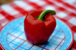Red bell pepper with a blurred background