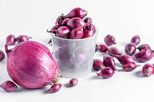Red onion large and onion seeds on a white background