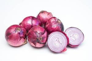 Red Onion on a White Background   Flip 2019