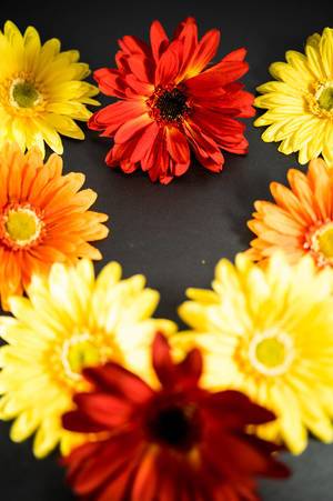 Red, orange, and yellow flowers forming a heart