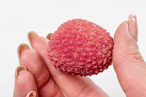 Red ripe litchi fruit in hand closeup (Flip 2019)