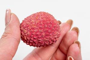 Red ripe litchi fruit in hand closeup