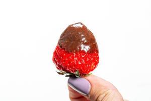Reife und frische Erdbeere mit der Spitze in Milchschokolade in einer Frauenhand