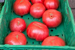 Riesige Ochsenherz Tomaten am Naschmarkt