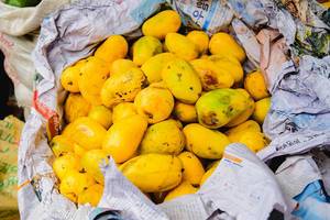 Ripe mangoes wrapped in newspaper (Flip 2019)