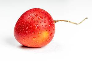 Ripe tamarillo on white background with water drops