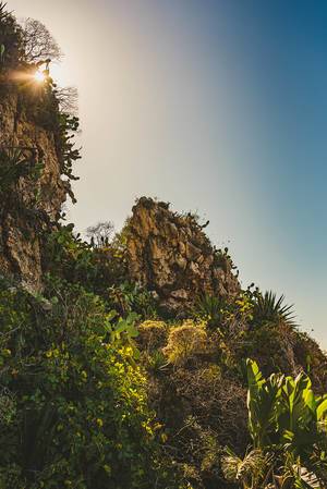 Rocks With Beach Coastline Flora And Cactus In Sunset (Flip 2019)