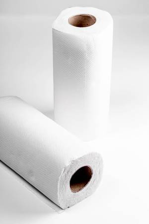 Rolls of paper towels on white (Flip 2019)