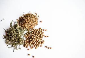 Rosemary, mustard seed and other spices on a white background