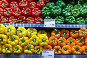Rote, grüne, gelbe und orangefarbene Paprikas im Whole Foods Market