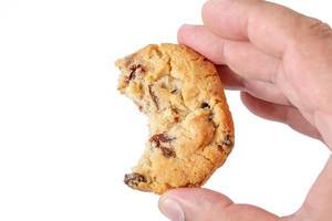 Round Biscuits with Raisins in the hand (Flip 2019)