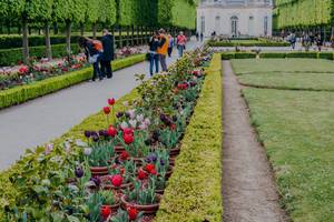Royal Gardens of Versailles