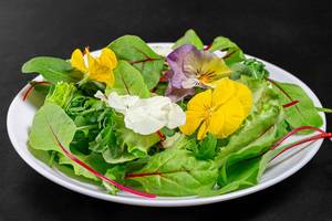 Salad plate with leaves and flowers on a black background (Flip 2019)