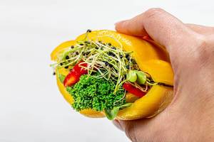 Sandwich with fresh vegetables and micro-green onions in a woman