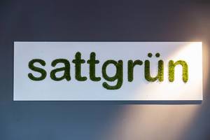 Sattgrün Logo bestrahlt auf grauem Hintergrund