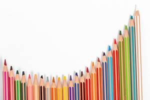 School background with many colorful pencils on white background