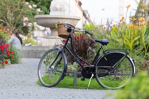 Schwarzes Fahrrad im Park - München