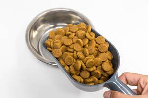 Scoop with dog food and bowl on a white background: Hills Mature Adult 5+ Large Breed with chicken