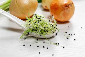 Seeds, micro greens and ripe onions on white wooden background
