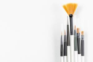 Set of a cosmetic brushes on a white background