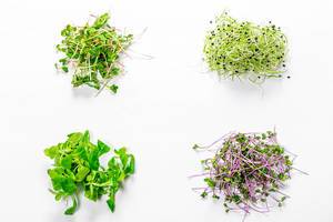 Set of sprouted micro-greens of onion, cabbage, radish and corn salad on white background. Top view (Flip 2019)