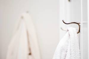 Silver Hook with Towel