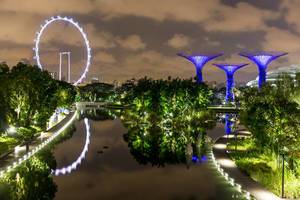 Singapur Flyer (big wheel) und Supertree Grove at Night