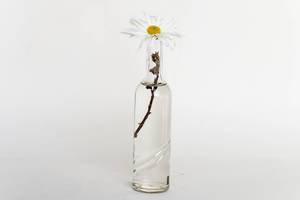 Small glass vase with flower