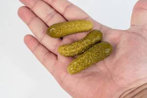 Small Pickles in the hand above white background (Flip 2019)