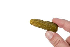 Small Pickles in the hand isolated above white background (Flip 2019)