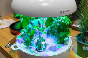 Smart Indoor Gardening von Bosch: SmartGrow Kräutergarten