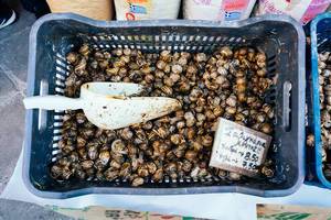 Snails for sale as a snack