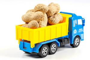 Spielzeug-LKW mit einer Ladung Erdnüssen vor weißem Hintergrund