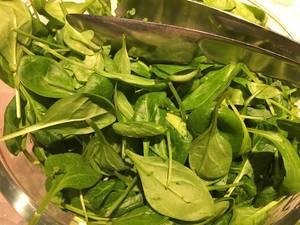 Spinat (Spinach)