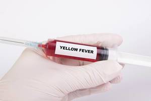 Spritze mit Injektionsnadel und dem Text Gelbfieber - Yellow fever