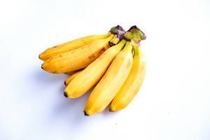 Staude reifer Baby-Bananen in Nahaufnahme