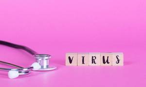 Stethoskop liegt neben Holzwürfeln mit dem Wort Virus auf pinkem Hintergrund