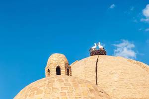 Storks on the dome of Toki Zargaron building, ancient trading domes in Bukhara, Uzbekistan (Flip 2019)