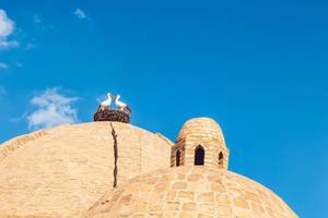 Storks on the dome of Toki Zargaron building, ancient trading domes in Bukhara, Uzbekistan
