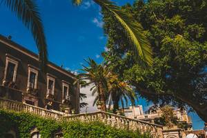 Straßenbild mit Palmen in Sizilien