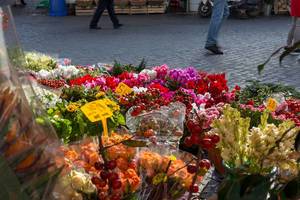 Sträuße schöner Blumen bei einem Blumenhändler auf dem Markt in Rom