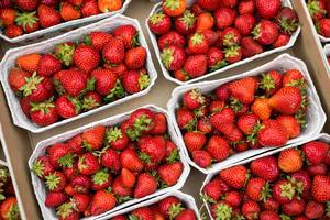 Strawberry boxes for sale.jpg
