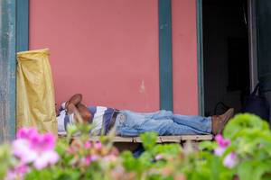 Street Photography: Sleeping Gardener