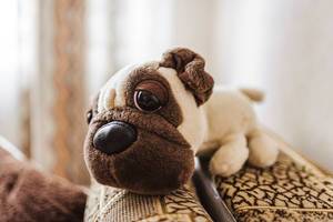 Stuffed English Bulldog Toy With Big Eye (Flip 2020)