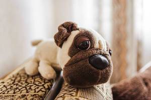 Stuffed English Bulldog Toy With Big Eye