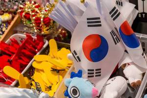 Südkoreanische Fahnen, Stofftiere und Schuheinlagen