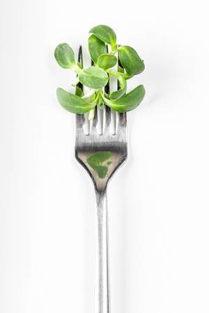 Sunflower microgreen on a fork. Diet and healthy eating concept (Flip 2020)